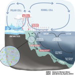Groundbreaking Research Reveals How “Forever Chemical” TFA Travels to Arctic Through Ice Formation