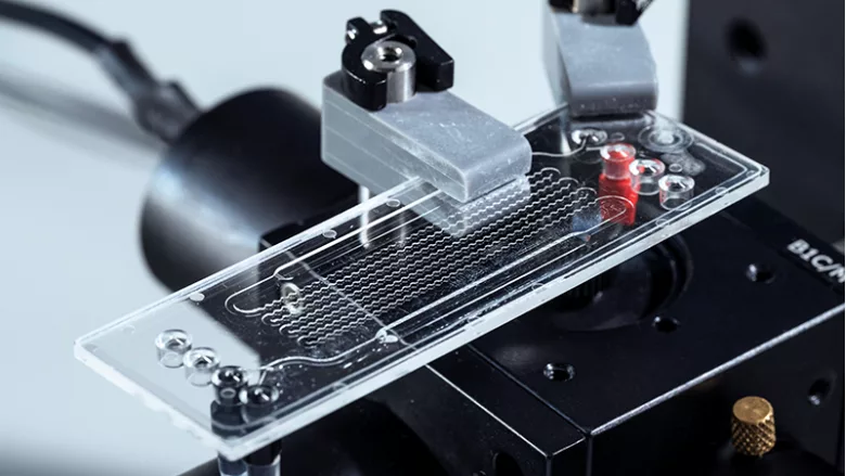 PFAS detection in 15 minutes: BAM develops sensor system for rapid on-site analysis