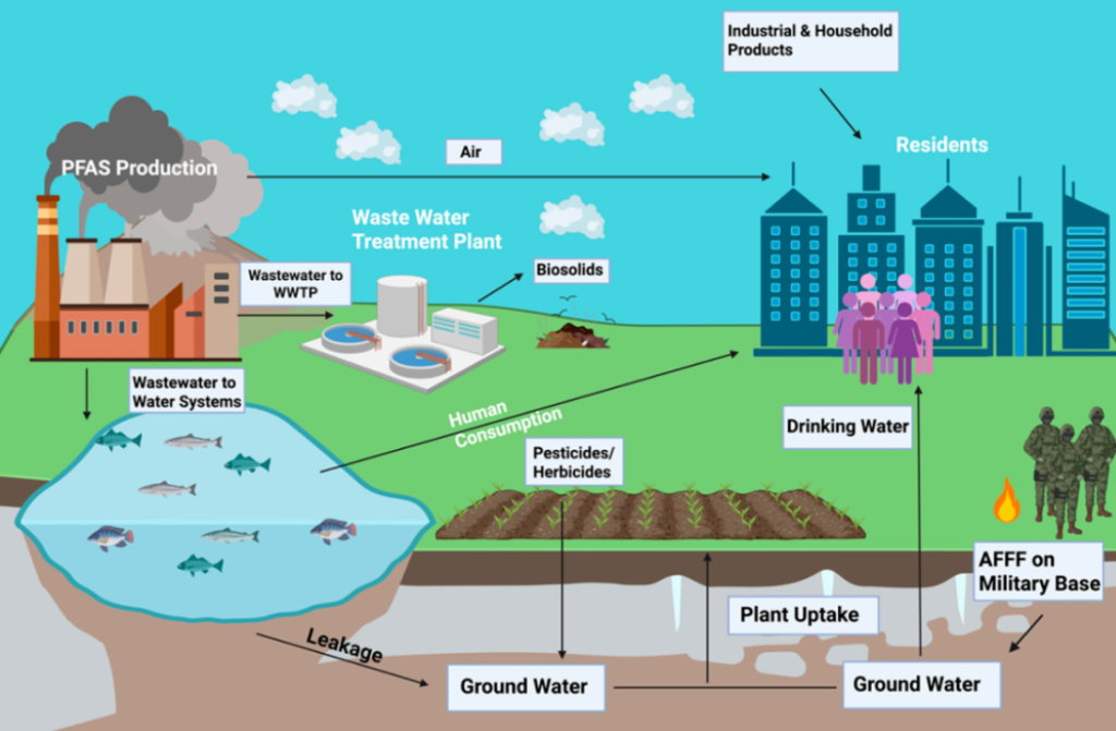Evolution of PFAS Research: From Industrial Wonder to Environmental Challenge