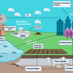 Evolution of PFAS Research: From Industrial Wonder to Environmental Challenge