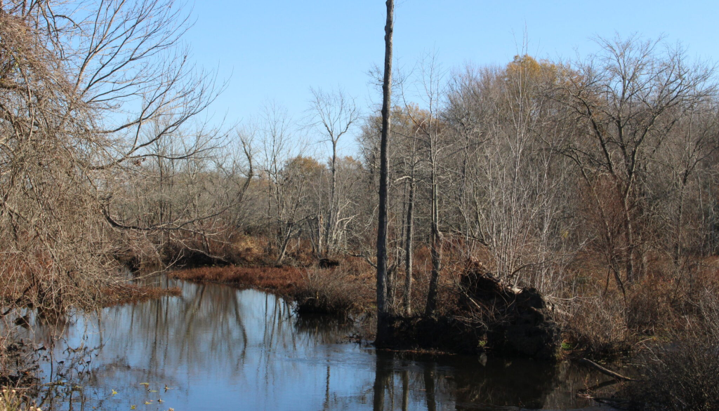 Conservation Group Sues EPA Over Virginia’s PFAS-Contaminated Waterways