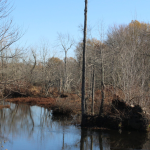 Conservation Group Sues EPA Over Virginia’s PFAS-Contaminated Waterways